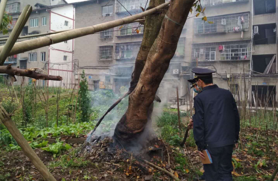 QQ图片20200512115741.png