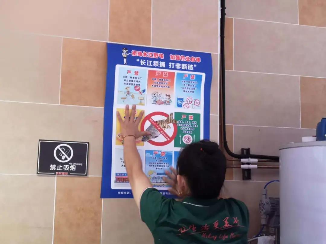张贴宣传海报.jpg