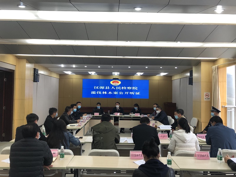 盗伐林木公开听证.jpg