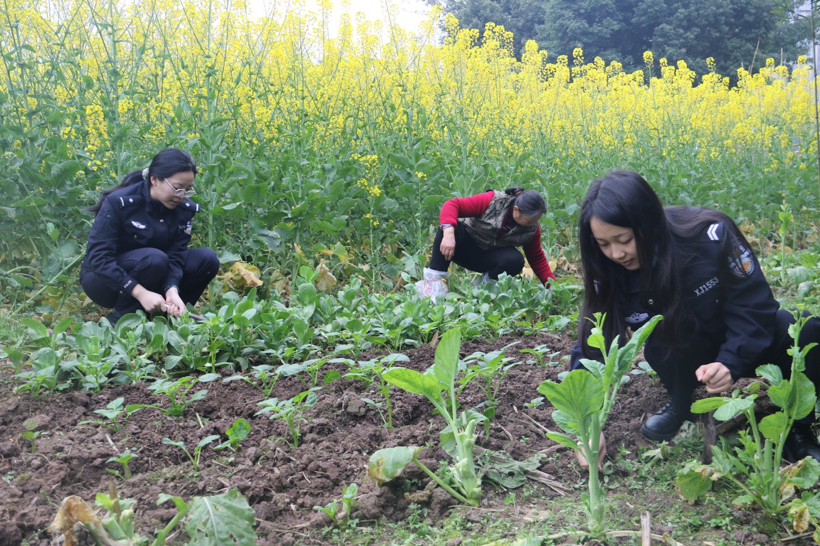 民警帮助留守老人干农活.jpg