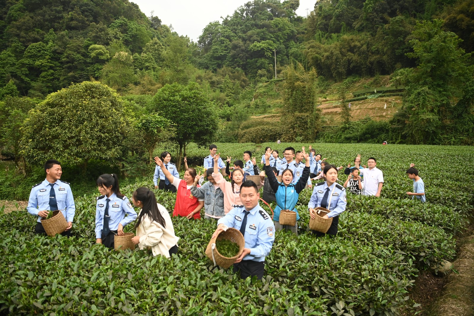 民警与小朋友一起采茶3.JPG