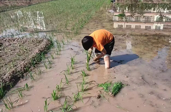 QQ图片20230504210637.png
