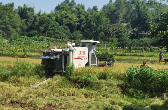 QQ图片20230825092013.png