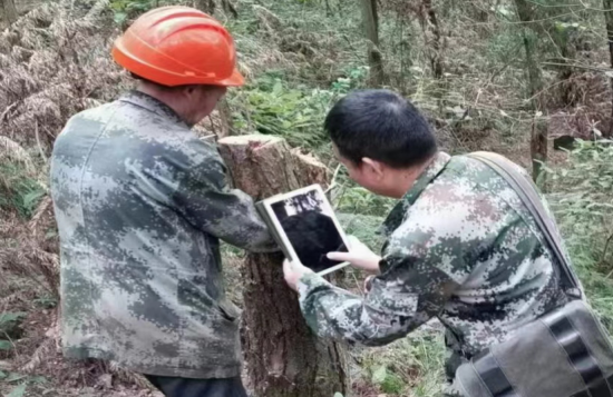 QQ图片20231028094220.png