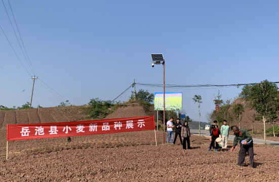 QQ图片20231107175057.png
