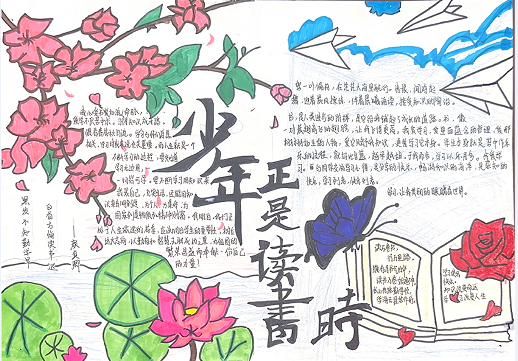 QQ图片20240424091217.png