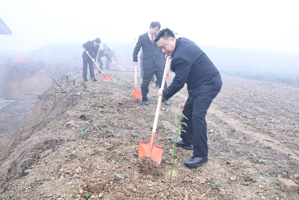 植树现场 (1).JPG