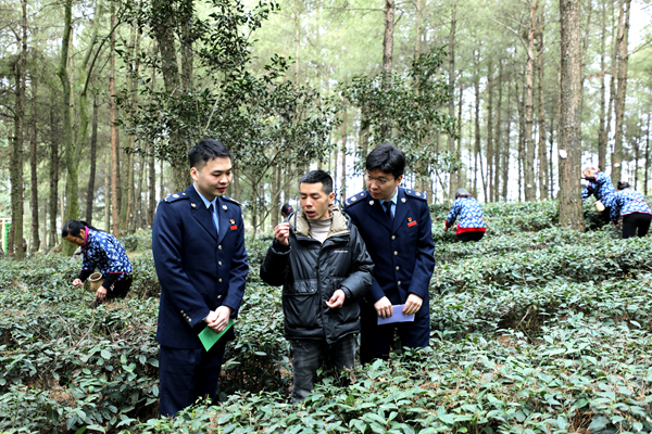 图片 1.png
