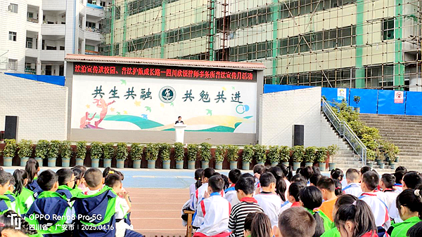 图片 2.png