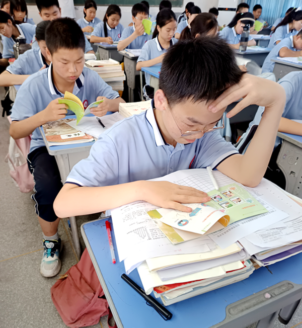 图片 2.png